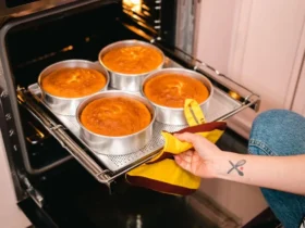 Truques para dominar o seu forno